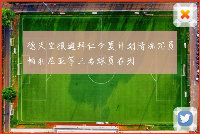 德天空报道拜仁今夏计划清洗冗员帕利尼亚等三名球员在列