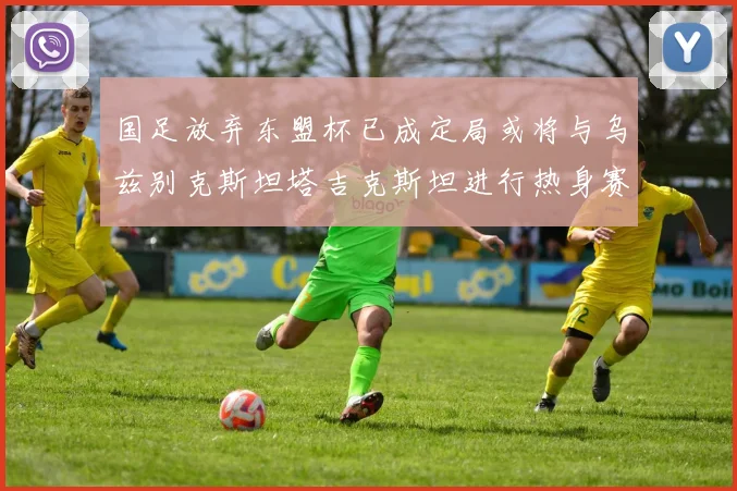国足放弃东盟杯已成定局或将与乌兹别克斯坦塔吉克斯坦进行热身赛