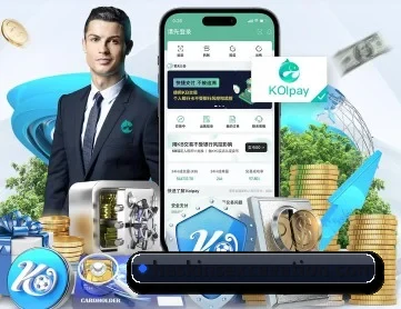 aoa网页版入口 APP 深度功能